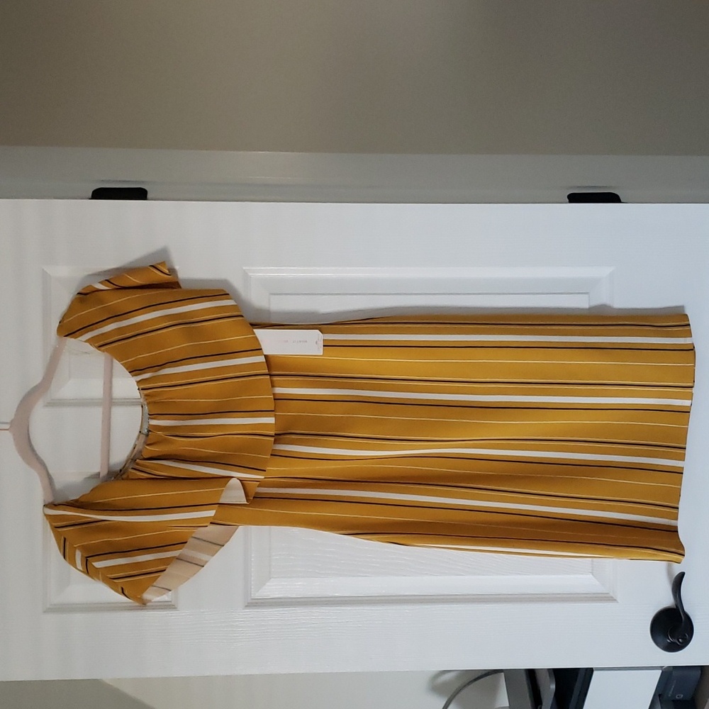 Women's Dress